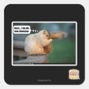 Search for shampoo labels I can has cheezburger