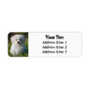 Search for maltese dog return address labels Pet