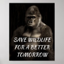 Recherche de singe gorille posters Animal