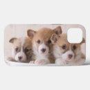 Search for corgi puppy iphone cases Canine