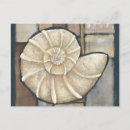 Recherche de abalone cartes postales Ormeau