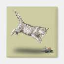 Search for cat and mouse magnets White