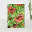 Search for flower red cards Garden flowers