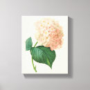 Recherche de hortensias toiles Nature
