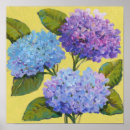 Search for hydrangea posters Flower