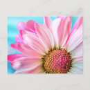 Search for big flower postcards Plant