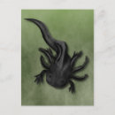 Recherche de marcheur cartes postales Mignon