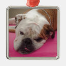 Search for english bulldog ornaments Canine
