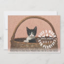 Search for purrfect christmas cards Green