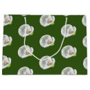 Recherche de calla lilly Lys