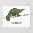 Recherche de caméléons cartes postales Lézard