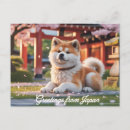 Search for akitas postcards Dog