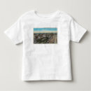 Search for bird s eye postcards California
