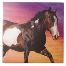 Recherche de peignez le cheval Équin