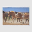 Search for wild horse tissue paper Herd