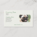 Recherche de chiot de carlin cartes visite Chien