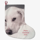Recherche de labrador de noël chaussette de noël Amoureux de les chiens