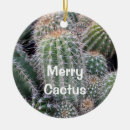 Search for cactus ornaments Green