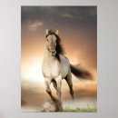 Search for emotions posters Equine