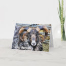 Recherche de sheep vœux cartes Agriculture