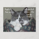 Search for ams postcards Quote