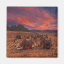 Recherche de de chameau magnets Le sahara