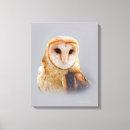 Recherche de owl painting canvas prints Rapaces