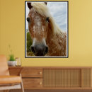 Recherche de visage de cheval posters Animal
