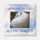 Search for dog sleeping magnets Labrador retriever