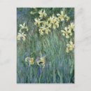 Recherche de iris jaune cartes postales Monet
