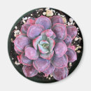 Search for raindrop magnets Pink
