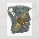 Search for bat cartoon postcards Bats