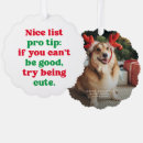 Search for funny naughty and nice christmas cards Dog