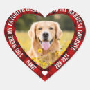 Search for pet loss stickers In loving memory