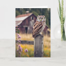 Search for wise owls cards Humour