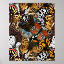 Recherche de ailes papillon posters Jaune