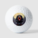 Search for bat golf balls Illustration