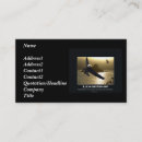 Recherche de les aigles cartes visite Aigle chauve