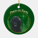 Search for portuguese water dog ornaments Pwd