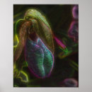Recherche de orchidées bleues posters Nature