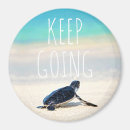 Search for turtle magnets Sea