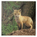 Recherche de poupée carreaux Animal