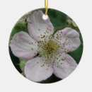 Search for macro ornaments Floral