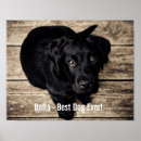 Search for labrador retriever memorial Black lab