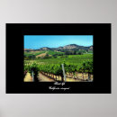 Recherche de vignoble art Bleu