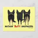 Search for gsd postcards Pets