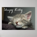 Search for kitten posters Photography