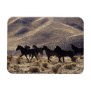 Recherche de mustang magnets Montagnes