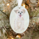Search for morkie dog ornaments Pet