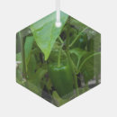 Search for pepper ornaments Green